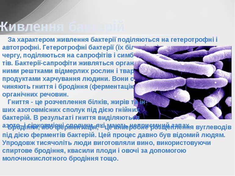 Живлення бактерій За характером живлення бактерії поділяються на гетеротрофні...