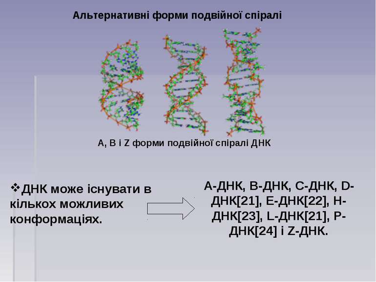 Альтернативні форми подвійної спіралі ДНК може існувати в кількох можливих ко...