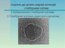 Існують дві досить широкі категорії стовбурових клітин: 1.Ембріональні стовбу...