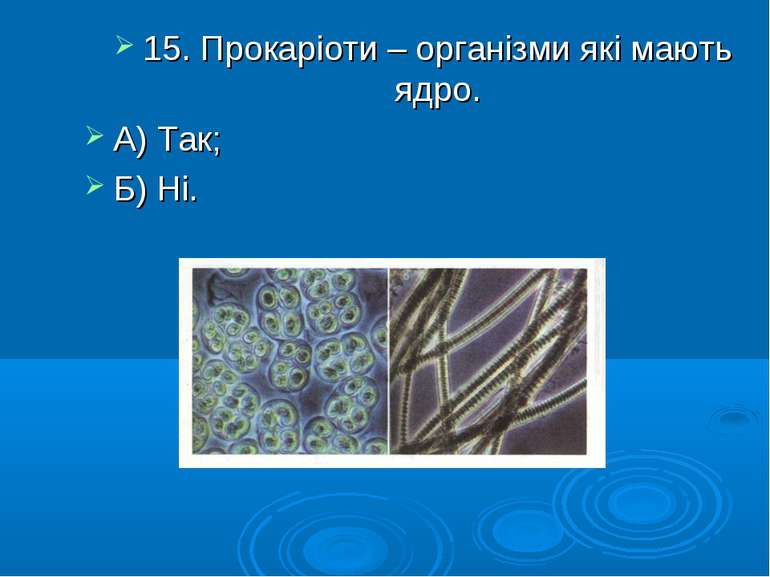 15. Прокаріоти – організми які мають ядро. А) Так; Б) Ні.