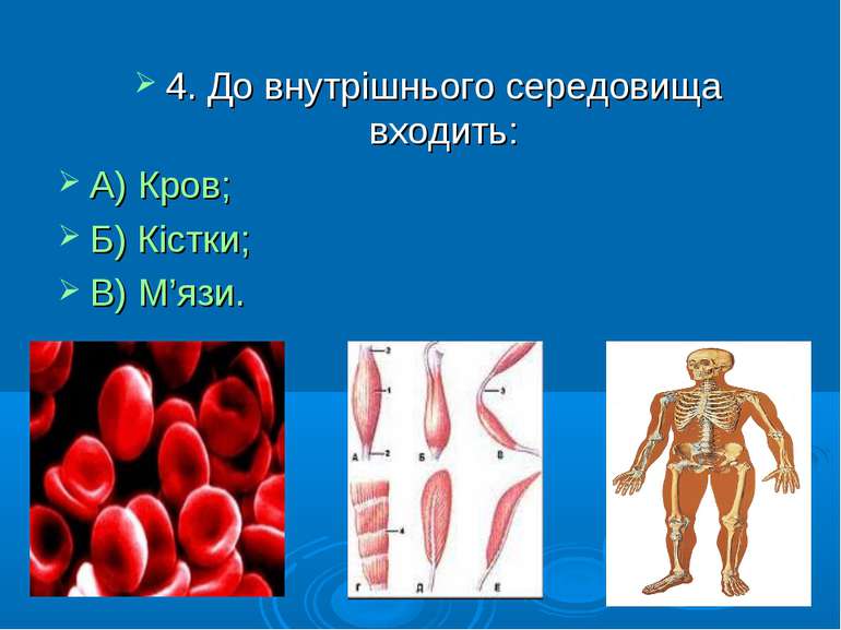 4. До внутрішнього середовища входить: А) Кров; Б) Кістки; В) М’язи.