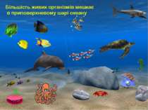 Більшість живих організмів мешкає  в приповерхневому шарі океану