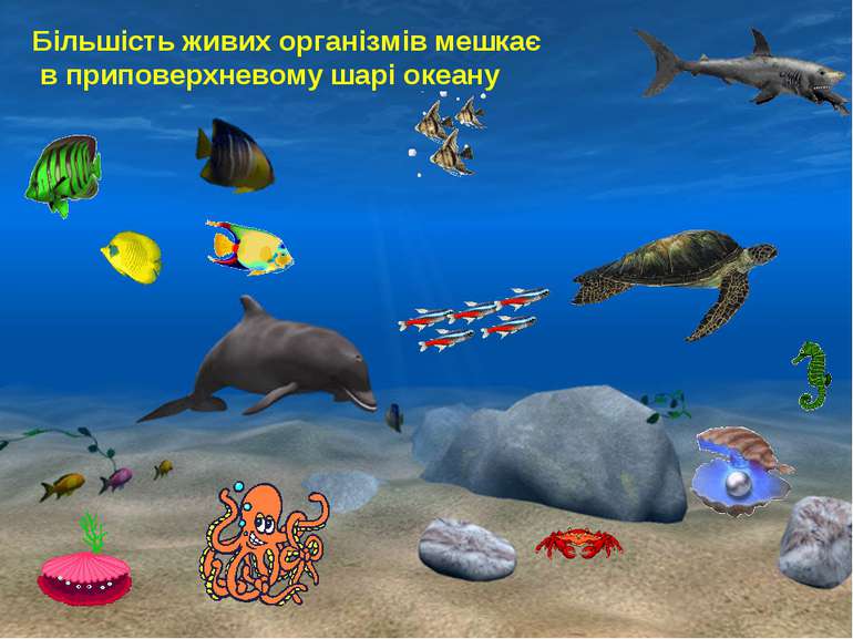 Більшість живих організмів мешкає  в приповерхневому шарі океану