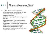 Пошкодження ДНК ДНК може пошкоджуватись різноманітними мутагенами, до яких на...