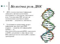 Біологічна роль ДНК ДНК є носієм генетичної інформації, записаної у вигляді н...