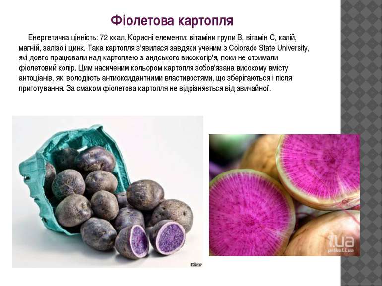 Фіолетова картопля Енергетична цінність: 72 ккал. Корисні елементи: вітаміни ...