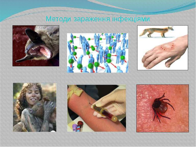 Методи зараження інфекціями