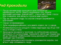 Ряд Крокодили Представники ряду крокодили пристосовані до напівводного життя....