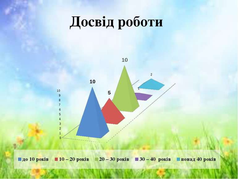 Досвід роботи