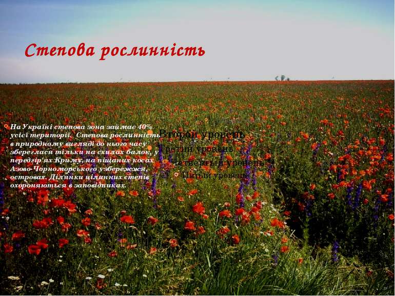 Степова рослинність На Україні степова зона займає 40% усієї території.  Степ...