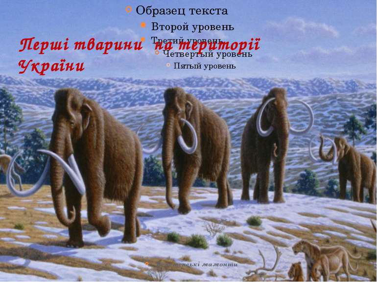 Перші тварини на території України Велетенські мамонти
