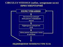 CIRCULUS VITIOSUS (хибне, зачароване коло) ПРИ ГІПЕРТЕРМІЇ ПІДВИЩЕННЯ ТЕМПЕРА...