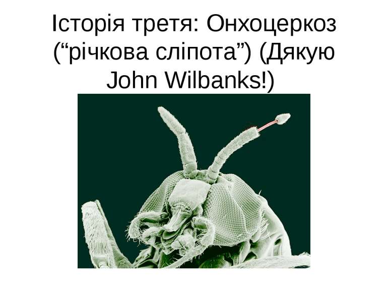 Історія третя: Онхоцеркоз (“річкова сліпота”) (Дякую John Wilbanks!)