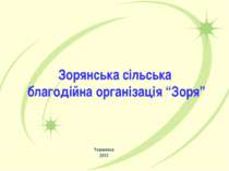 Зорянська сільська благодійна організація “Зоря” Томаківка 2013