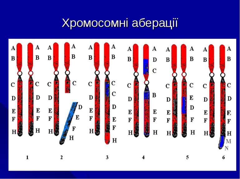 Хромосомні аберації