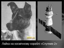 Лайка на космічному кораблі «Cпутник-2»