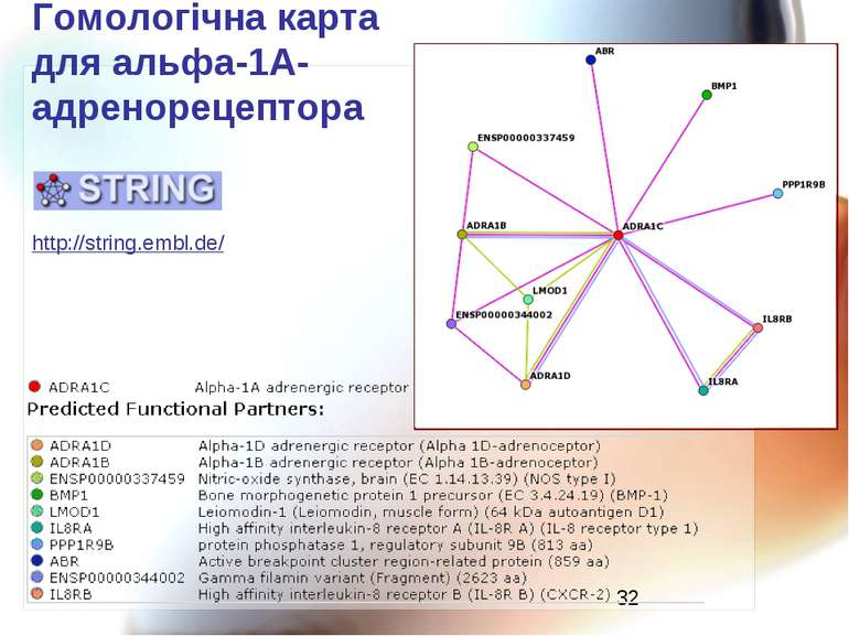 Гомологічна карта для альфа-1А-адренорецептора http://string.embl.de/