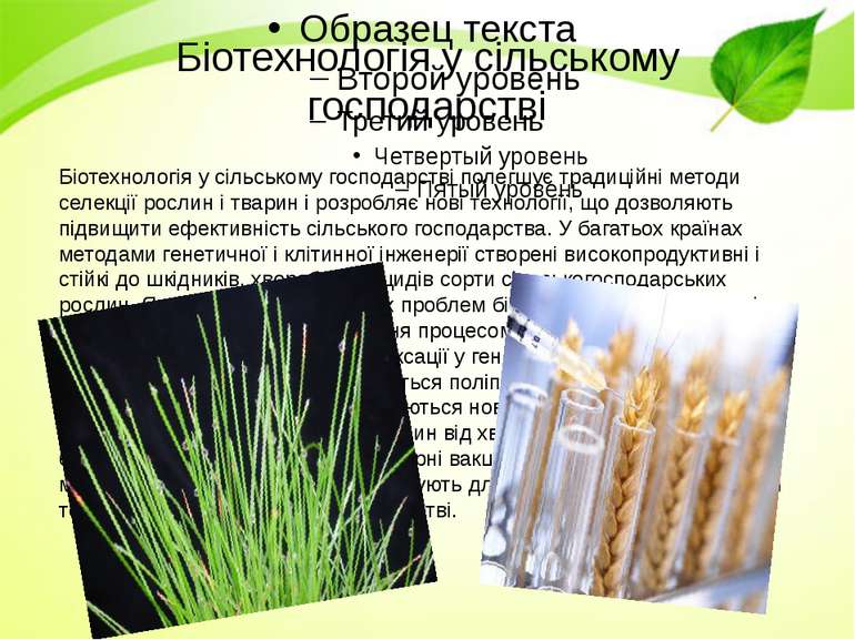 Біотехнологія у сільському господарстві Біотехнологія у сільському господарст...