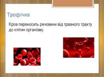 Трофічна Кров переносить речовини від травного тракту до клітин організму.