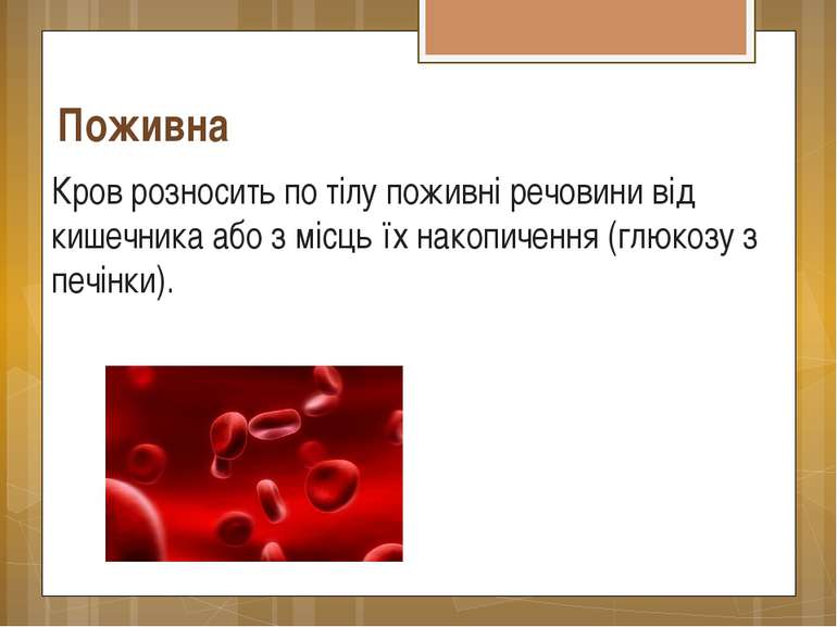 Поживна Кров розносить по тілу поживні речовини від кишечника або з місць їх ...