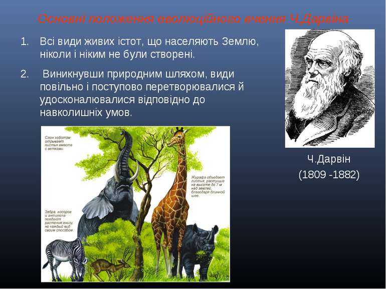 Основні положення еволюційного вчення Ч.Дарвіна Ч.Дарвін (1809 -1882) Всі вид...