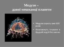 Медузи – давні мешканці планети Медузи існують вже 600 років Вони можуть існу...