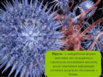 Віруси - є найдрібніші форми життями, які складаються з молекули нуклеїнової ...