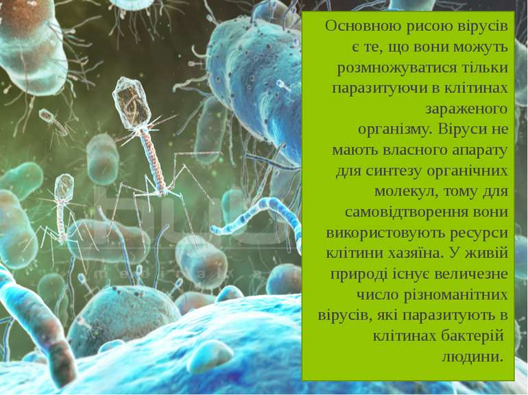 Основною рисою вірусів є те, що вони можуть розмножуватися тільки паразитуючи...