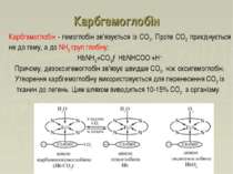 Карбгемоглобін Карбгемоглобін - гемоглобін зв'язується із СО2. Проте СО2 приє...