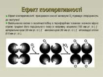 Ефект кооперативності Ефект кооперативності: приєднання кожної молекули O2 пі...