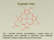 Гем – хелатний комплекс протопорфірину з атомом заліза, що координаційно (2-м...
