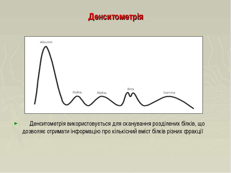 Денситометрія Денситометрія використовується для сканування розділених білків...