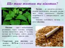 Що таке тютюн та нікотин? Тютюн — це однорічна рослина з родини пасльонових, ...