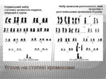Вплив на статеві хромосоми Нормальний набір статевих хромосом людини, зібрани...