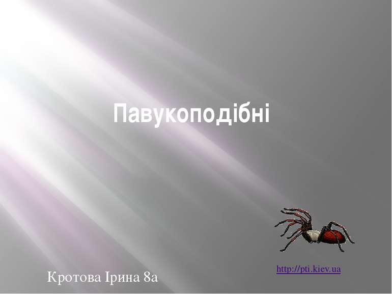 Павукоподібні Кротова Ірина 8а http://pti.kiev.ua