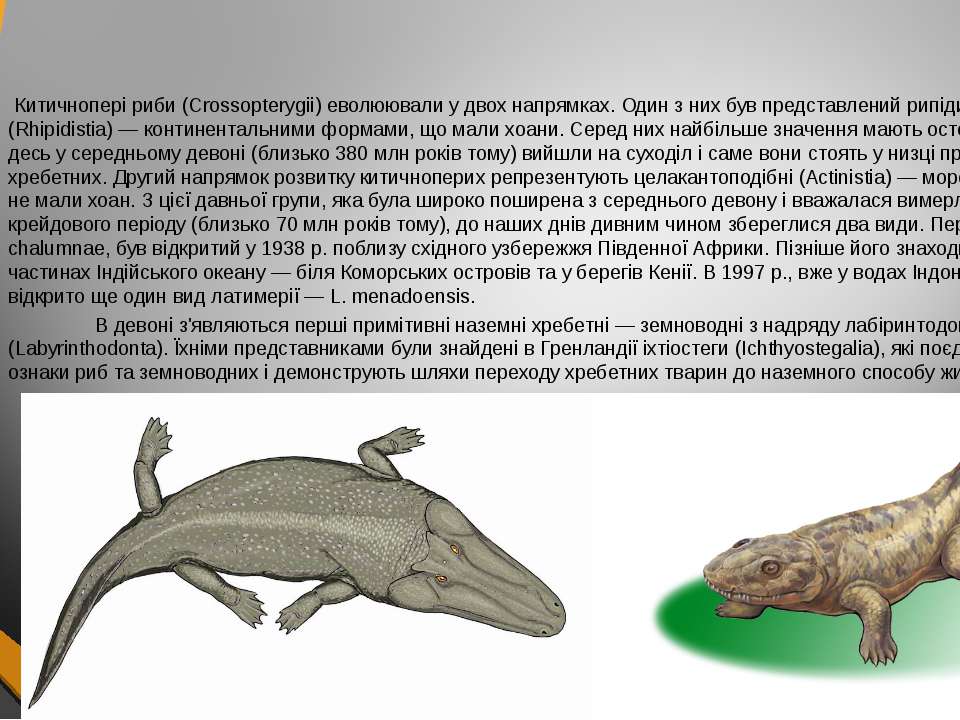 Предки современных рептилий. Рипидистии.