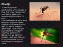 Комарі. Із-за специфічних властивостей слини комара, в місці його укусу утвор...