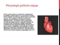 Регуляція роботи серця Робота серця регулюється нервовою і ендокринною систем...