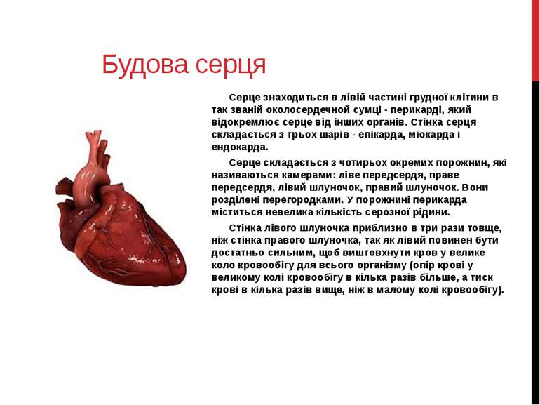 Будова серця Серце знаходиться в лівій частині грудної клітини в так званій о...