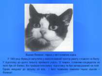 Відома Фелисет, перша у світі космічна кішка. У 1963 році Франція запустила у...