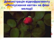 Демонстрація відеофрагменту «Розпускання квітів» на фоні мелодії