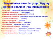 Закріплення матеріалу про будову органів рослини (гра «Ланцюжок») Квітка – це...