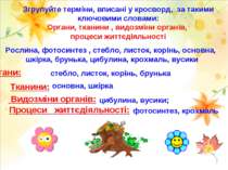 Згрупуйте терміни, вписані у кросворд, за такими ключовими словами: Органи, т...