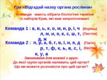 Гра «Відгадай назву органа рослини» Команди мають зібрати біологічні терміни ...