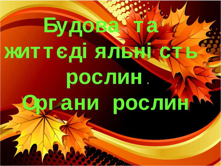 Будова та життєдіяльність рослин . Органи рослин