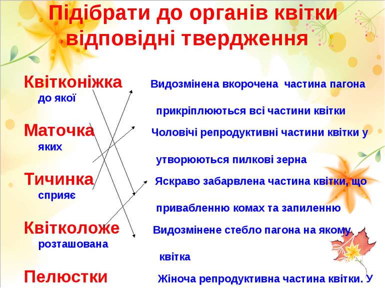 Підібрати до органів квітки відповідні твердження Квітконіжка Видозмінена вко...