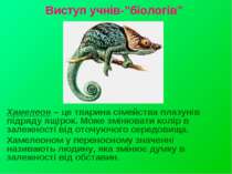 Виступ учнів-”біологів” Хамелеон – це тварина сімейства плазунів підряду ящір...
