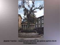 Дерево Герніки – національна святиня, що дивом уціліла після бомбардування