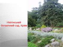 Нікітінський ботанічний сад, Крим