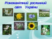 Різноманітний рослинний світ України